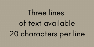 4 x 8